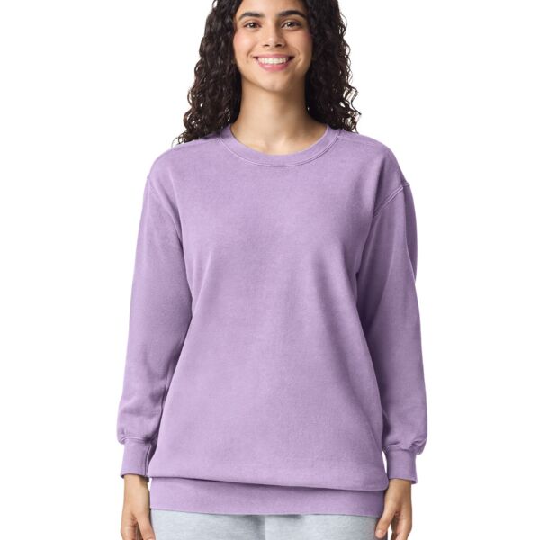 Adult Crewneck Sweatshirt Thumbnail